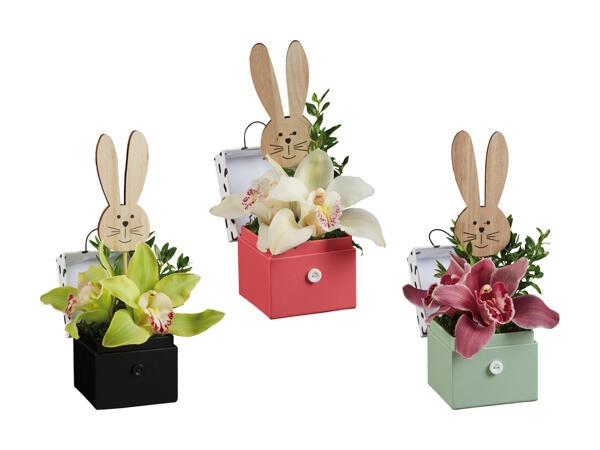 Composition florale d'orchidées lapin de Pâques