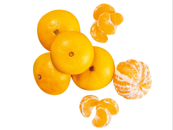 Satsumas