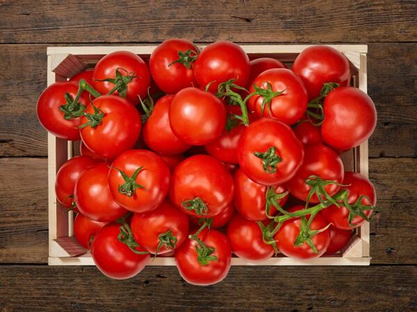 Tomates en grappe bio