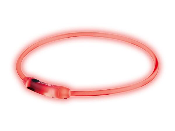 Zoofari LED Light-Up Dog Collar