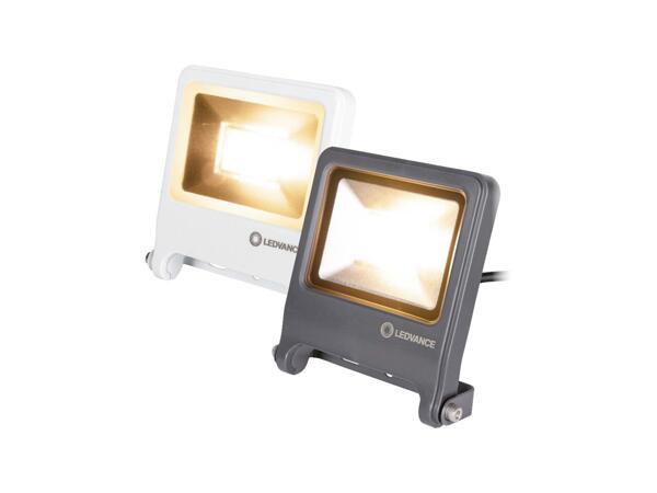 20W LED Spotlight