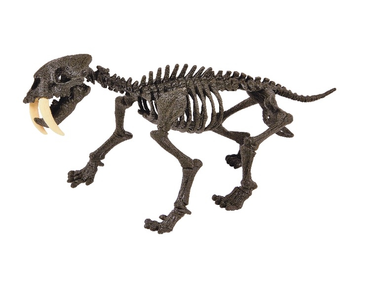 Bouwpakket 'Dinosaurus' 2-in-1