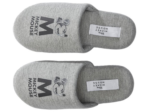 Ladies' Character Slippers
