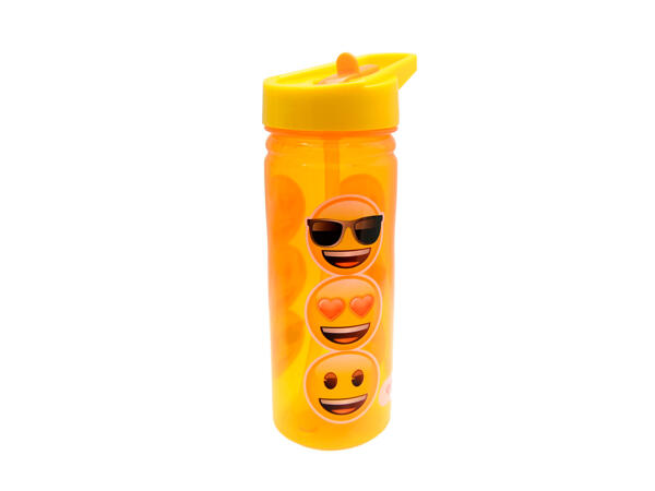 Character Water Bottle