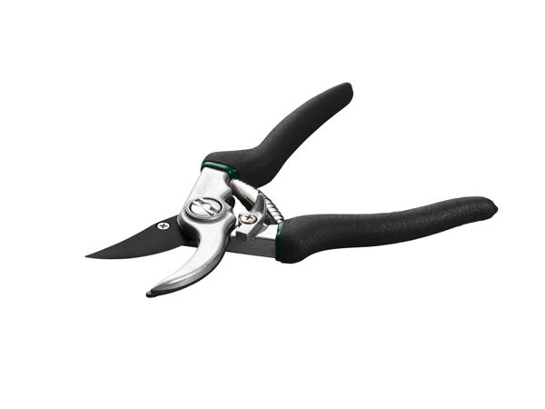 Secateurs