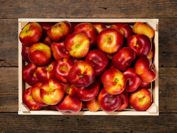 Nectarines plates