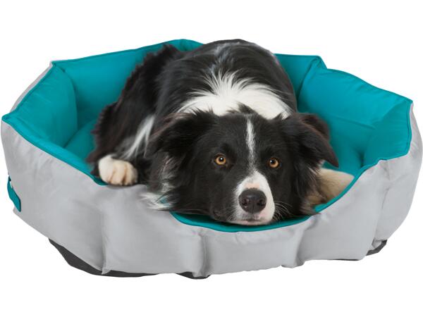 Outdoor Dog Bed