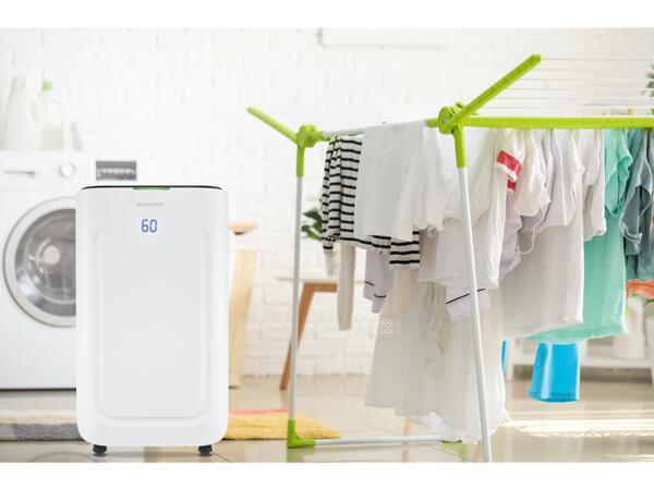 Dehumidifier