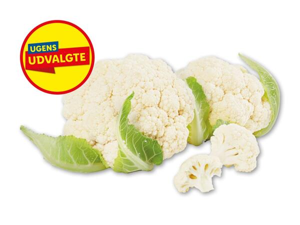 Blomkål