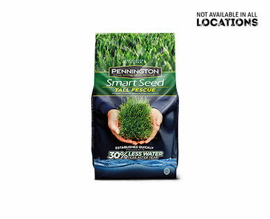 PENNINGTON Smart Seed Tall Fescue Mix