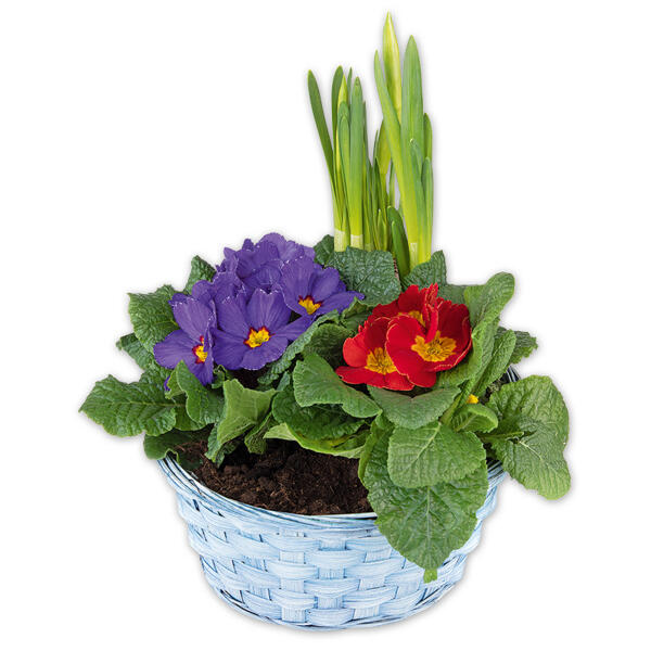 Bunter Frühlingskorb