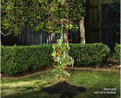 Tomato Cage