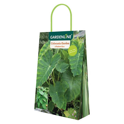 Sun or Shade Lovers Bulbs - Assorted Varieties