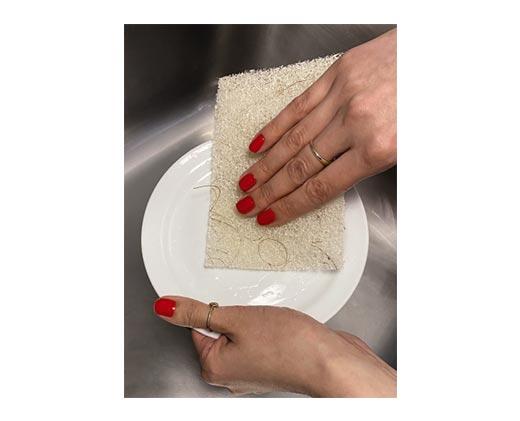 Radiance 
 Coconut Scour Pad or Walnut Scrub Sponge