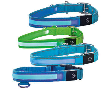ROMEO 
 COLLIER LED POUR CHIENS