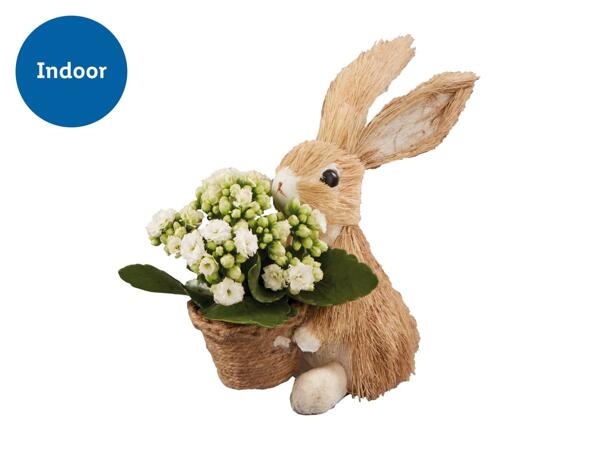 Small Bunny Planter