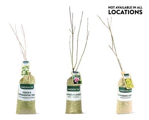 Gardenline 
 Flowering Shrub Assorted Varieties
