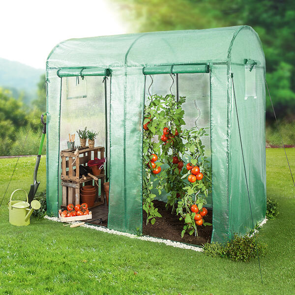 Tomatengewächshaus mit 2 Toren