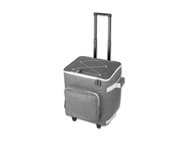 Einkaufstrolley mit Kühlfunktion