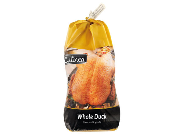Duck