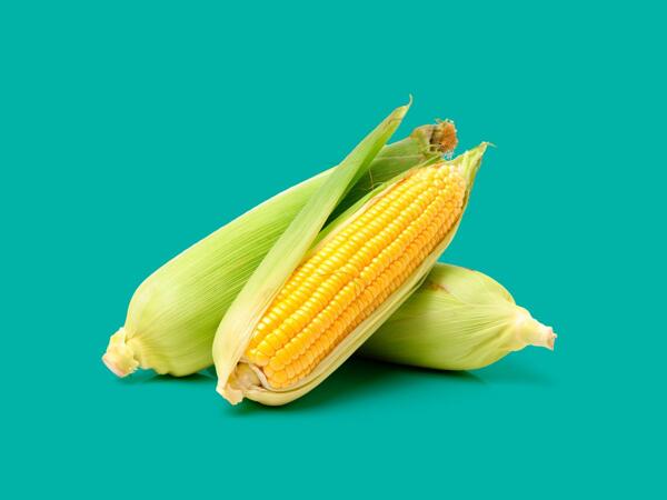 Fresh Corn – Twin Pack