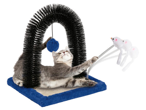 Cat Scratching Set