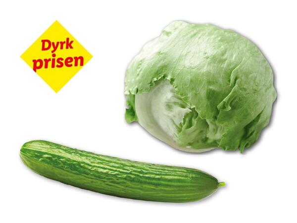 Økologisk agurk eller icebergsalat