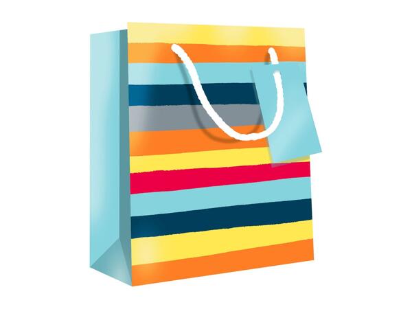 Father's Day Gift Bag Assortment