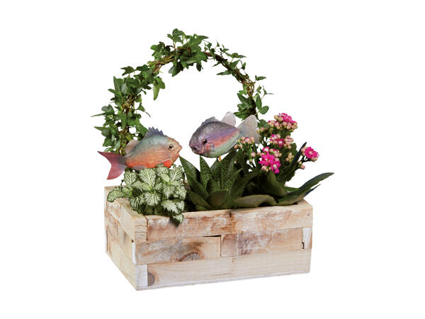 Boîte plage avec plantes