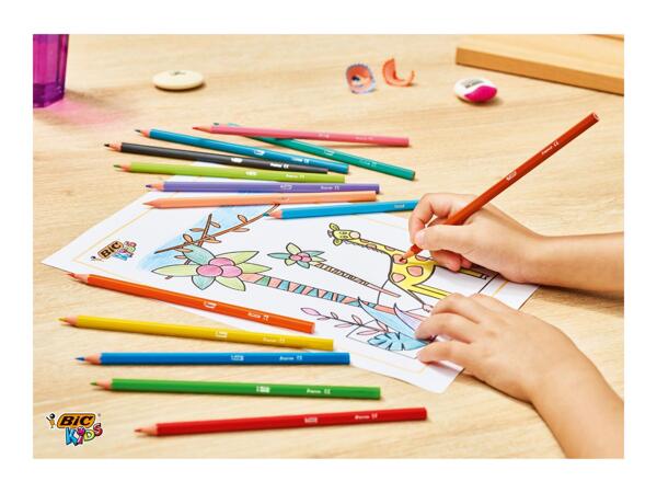 BIC Stationery Assortment