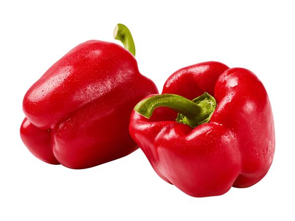 Peperoni rot