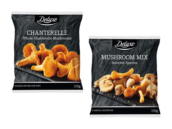 Petites chanterelles/mélange de champignons