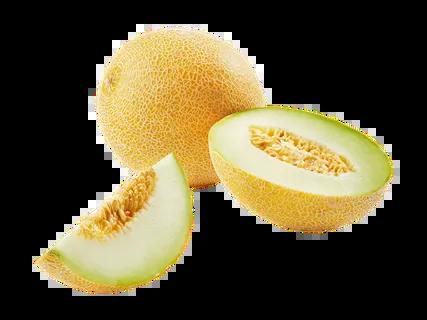 Melon Galia