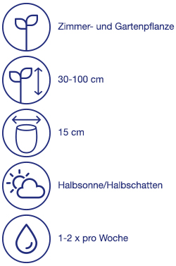 Winterharte Ziergräser