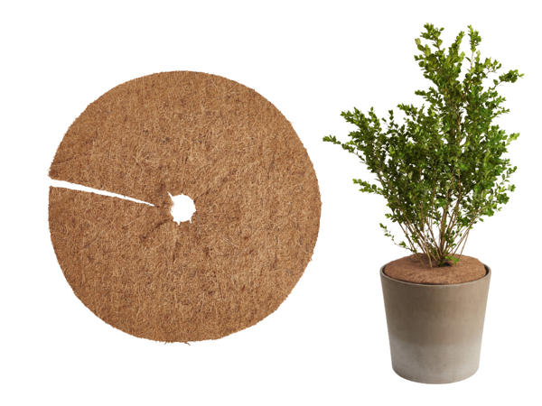 Plantskydd1