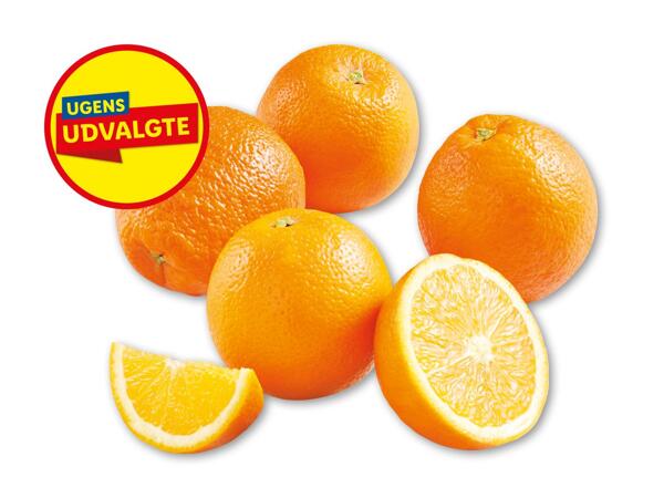 Appelsiner
