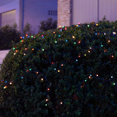 Twinkle lights