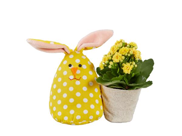 Easter Bunny or Rooster with Kalanchoe