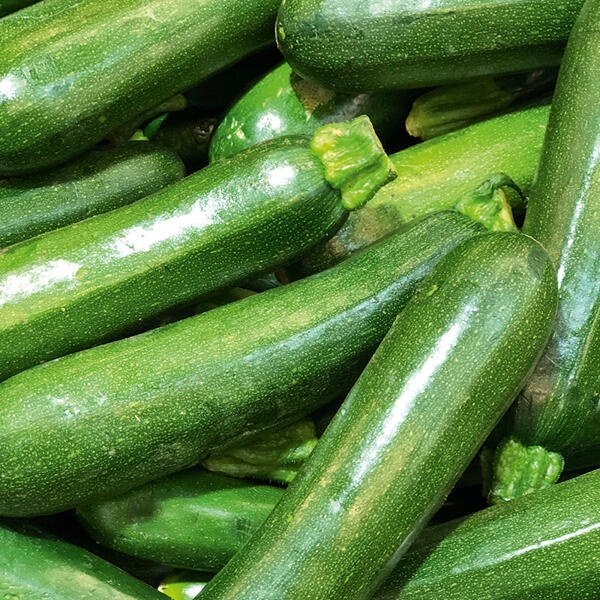 Bio-Zucchini