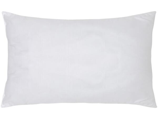 Support Pillow