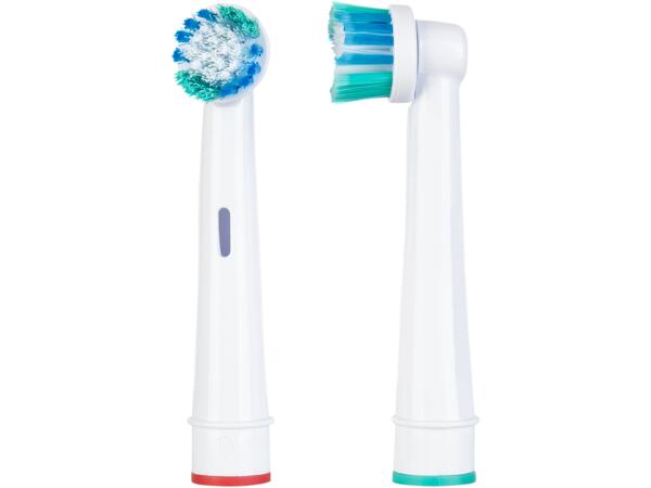 Electric Toothbrush