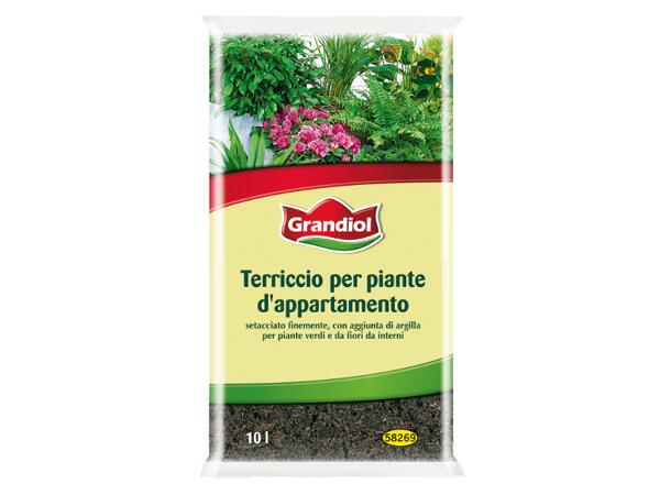 Soil for Houseplants