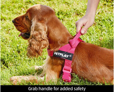 Extra Small or Small Dog Harness, Activity Lead or Rope Leads
