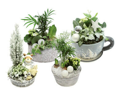 WINTERLICHES ARRANGEMENT