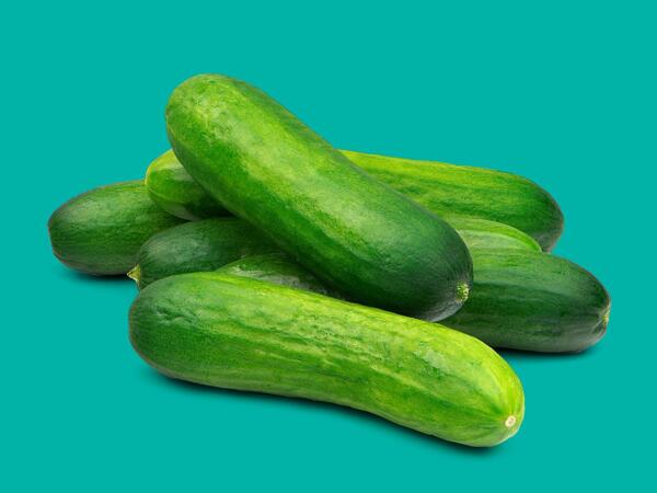 Cucumbears