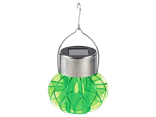 Livarno Decorative Solar Light