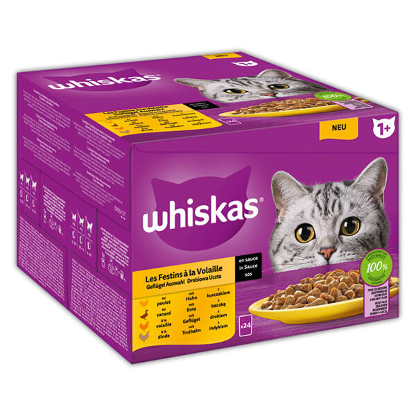 Katzenfutter