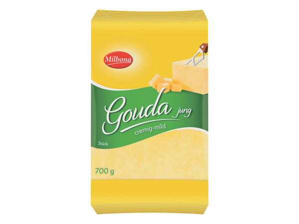 Gouda