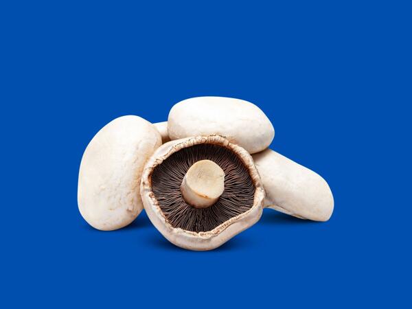 Large Flat Mushrooms