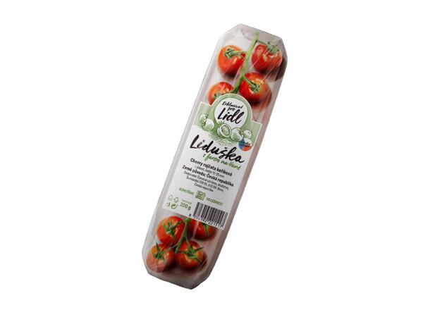 CHERRY RAJČATA KEŘÍKOVÁ - ODRŮDA LIDUŠKA